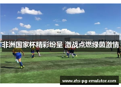 非洲国家杯精彩纷呈 激战点燃绿茵激情